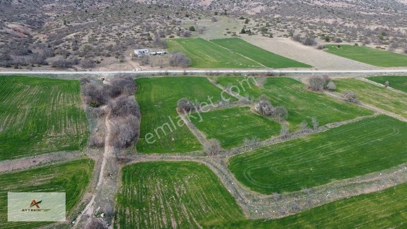 Meram Güneydere Mahallesinde 5.600 M² Müstakil Tapulu Tarla — fotoğraf 13