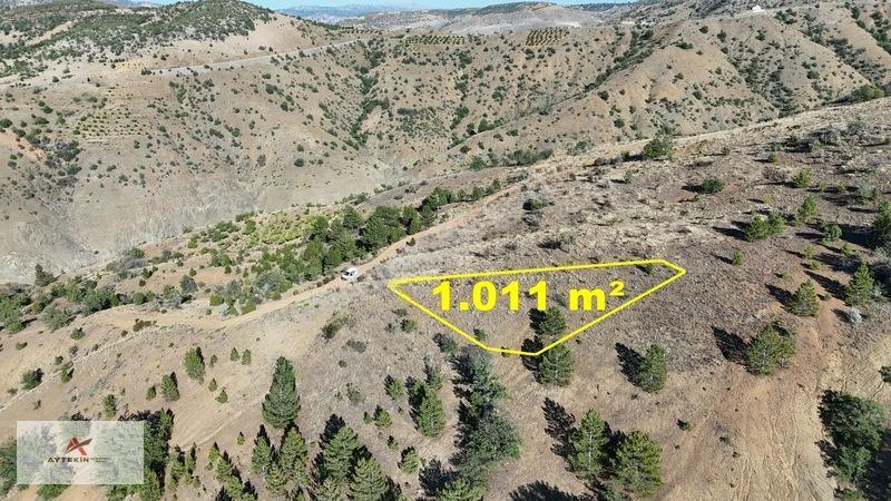Bozkır Dereiçi Mahallesinde 1.011 M² Müstakil Tapulu Bağ — fotoğraf 2