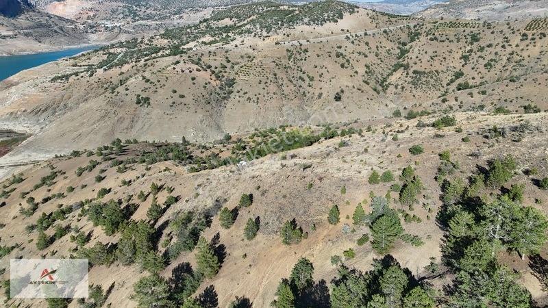 Bozkır Dereiçi Mahallesinde 1.011 M² Müstakil Tapulu Bağ — fotoğraf 6