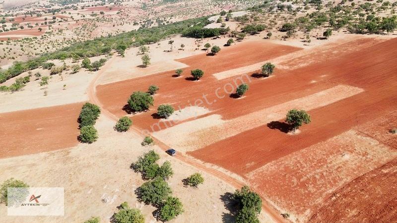 Güneysınır Kızılöz Mahallesinde 329 M² Müstakil Tapulu Tarla