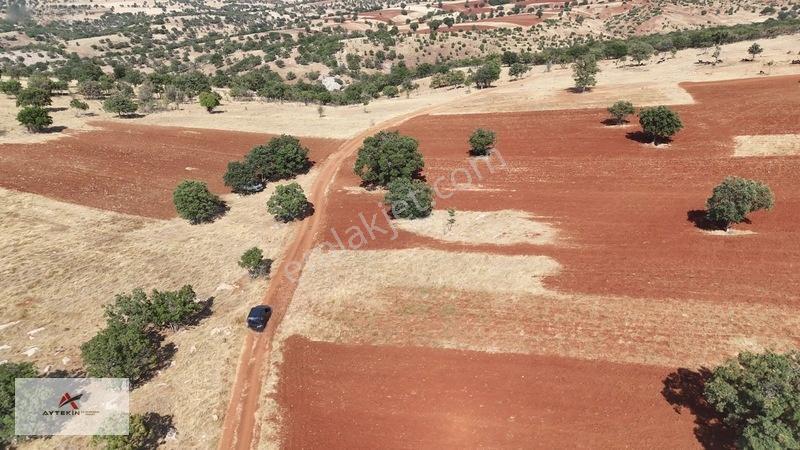 Güneysınır Kızılöz Mahallesinde 329 M² Müstakil Tapulu Tarla — fotoğraf 5