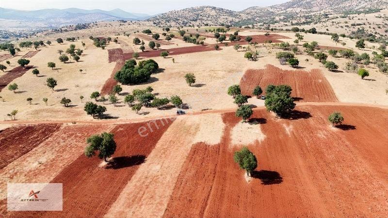 Güneysınır Kızılöz Mahallesinde 329 M² Müstakil Tapulu Tarla — fotoğraf 6