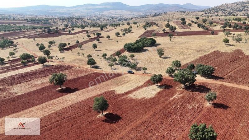 Güneysınır Kızılöz Mahallesinde 329 M² Müstakil Tapulu Tarla — fotoğraf 7