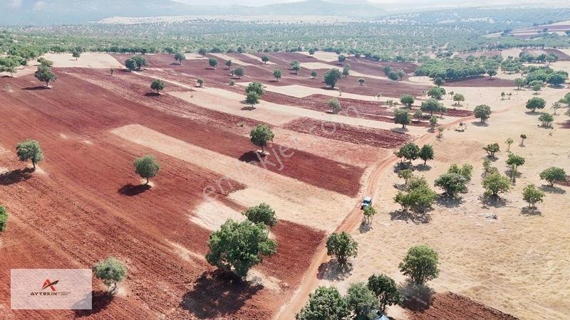 Güneysınır Kızılöz Mahallesinde 329 M² Müstakil Tapulu Tarla — fotoğraf 9