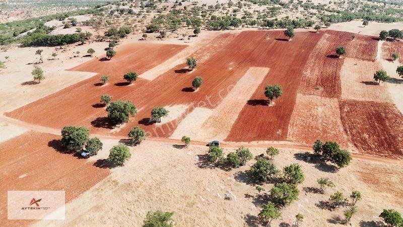 Güneysınır Kızılöz Mahallesinde 329 M² Müstakil Tapulu Tarla — fotoğraf 10