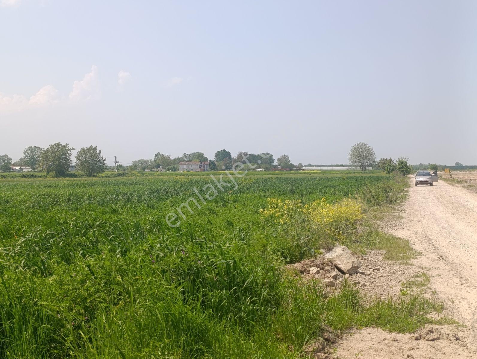 Araç Muayene İstasyon Yakınında Yatırımlık Arazi — fotoğraf 2
