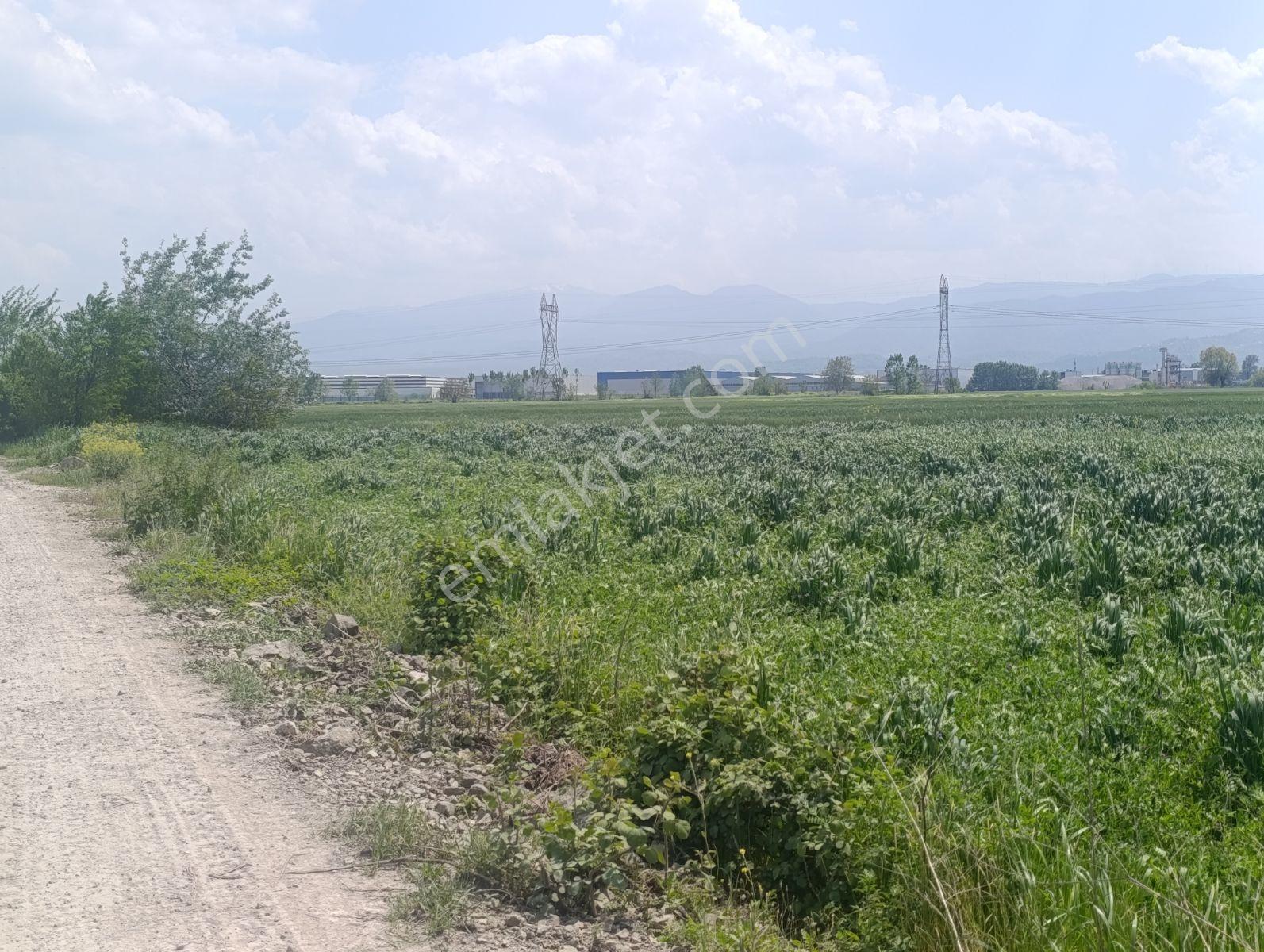Araç Muayene İstasyon Yakınında Yatırımlık Arazi — fotoğraf 5
