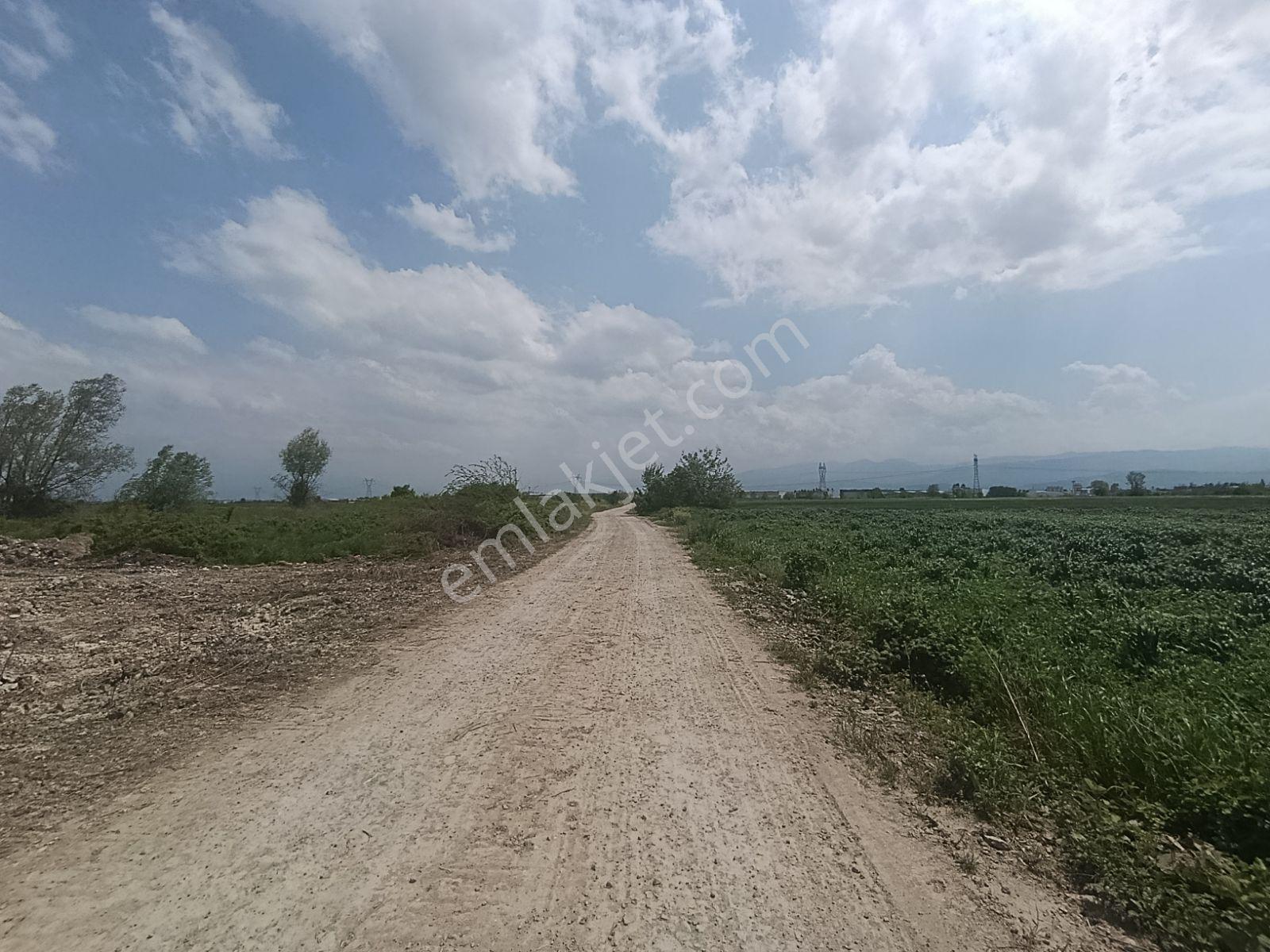 Araç Muayene İstasyon Yakınında Yatırımlık Arazi — fotoğraf 6