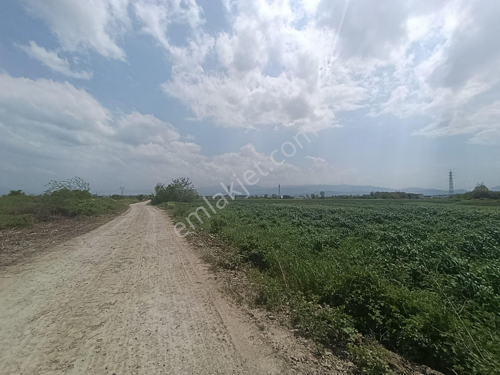 Araç Muayene İstasyon Yakınında Yatırımlık Arazi — fotoğraf 7