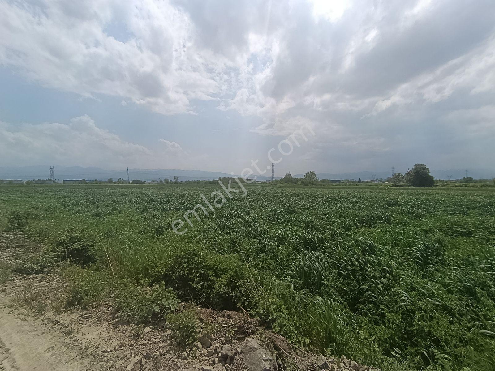 Araç Muayene İstasyon Yakınında Yatırımlık Arazi — fotoğraf 8