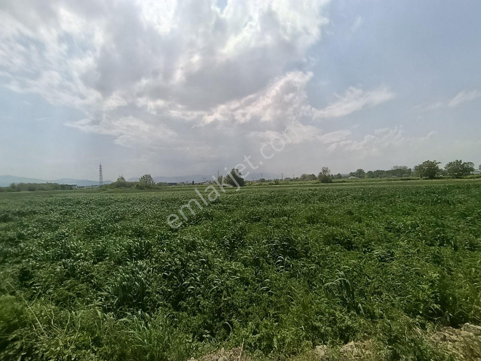 Araç Muayene İstasyon Yakınında Yatırımlık Arazi — fotoğraf 9