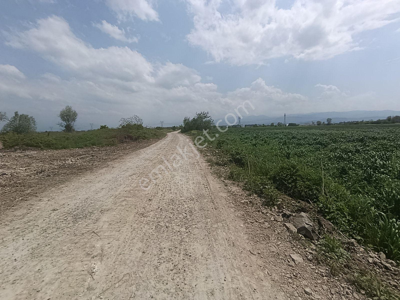 Araç Muayene İstasyon Yakınında Yatırımlık Arazi — fotoğraf 11
