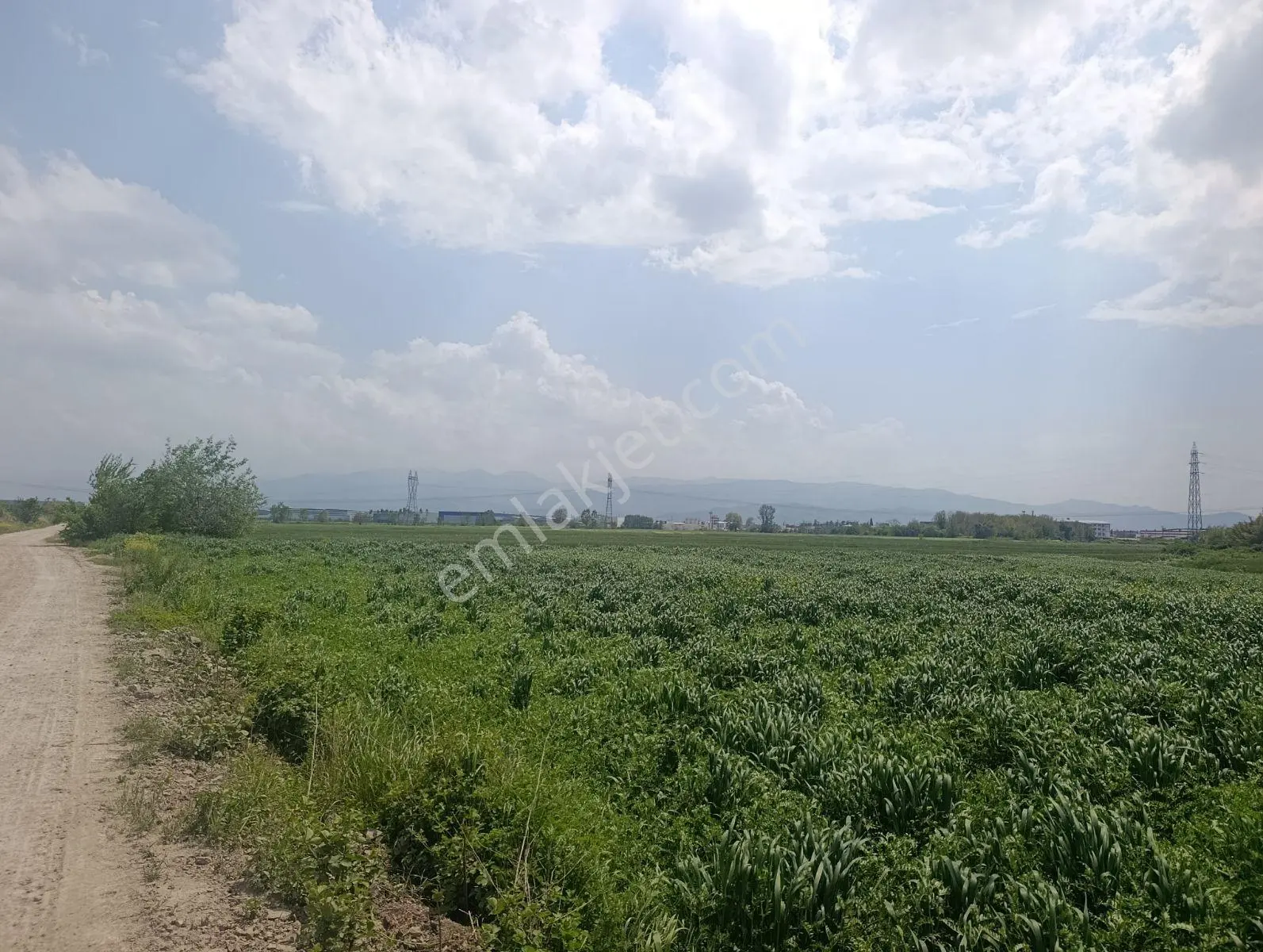 Araç Muayene İstasyon Yakınında Yatırımlık Arazi — fotoğraf 15