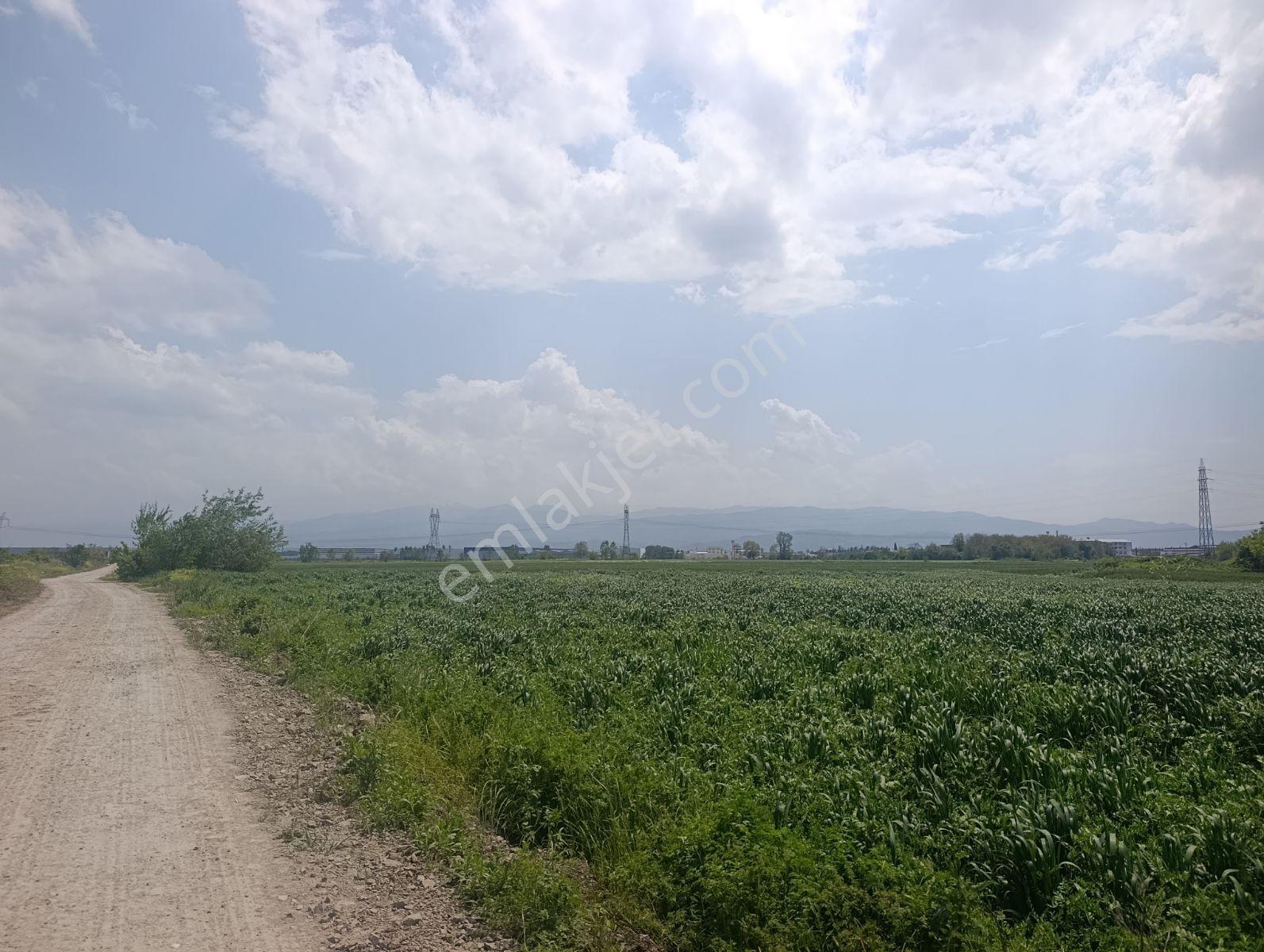 Araç Muayene İstasyon Yakınında Yatırımlık Arazi — fotoğraf 16
