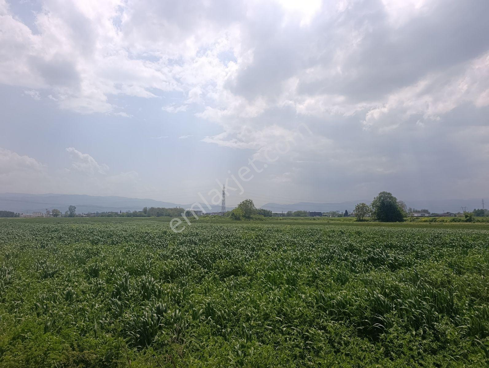 Araç Muayene İstasyon Yakınında Yatırımlık Arazi — fotoğraf 17