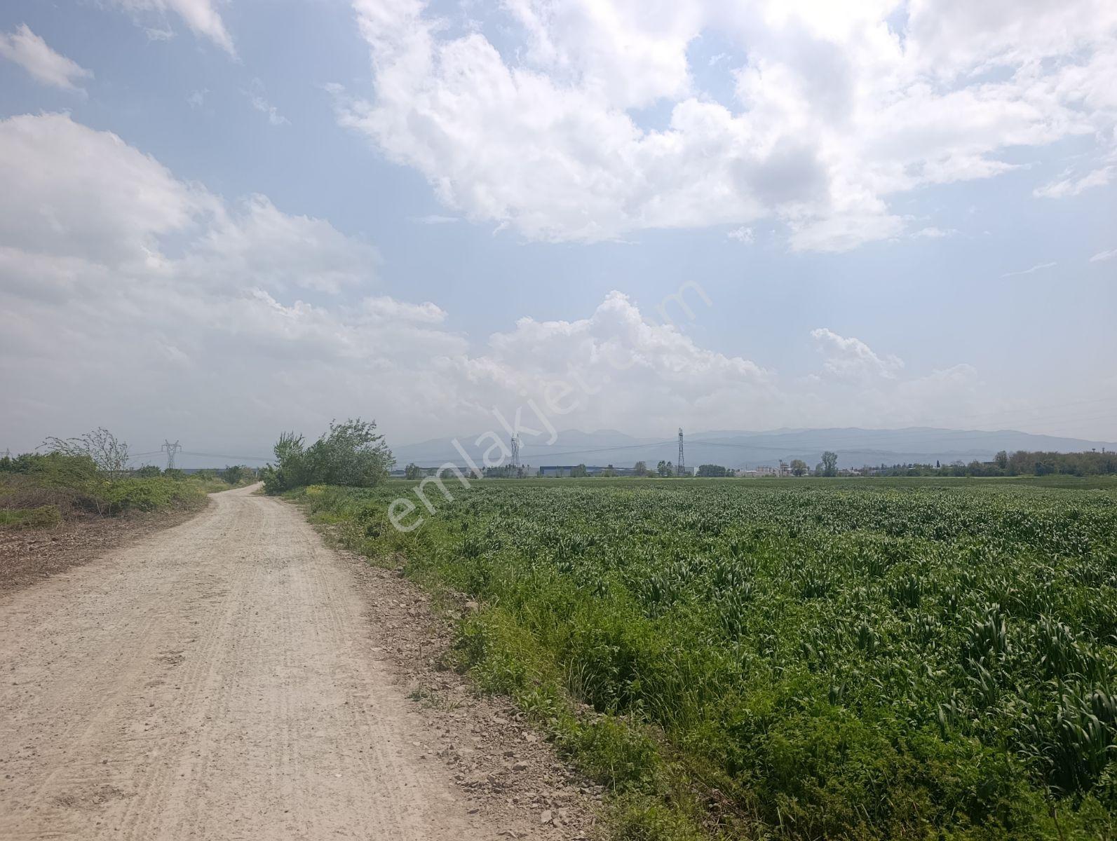 Araç Muayene İstasyon Yakınında Yatırımlık Arazi — fotoğraf 19