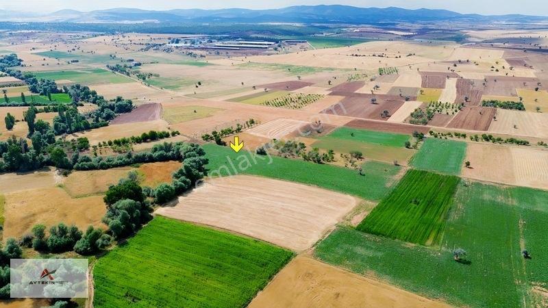 Beyşehir Yenidoğanyüksek Mahallesinde 3.405 M² Müstakil Tarla — fotoğraf 4