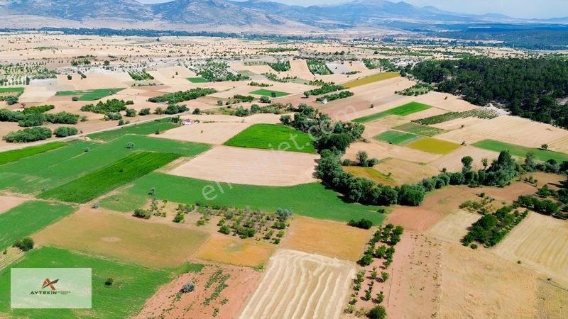 Beyşehir Yenidoğanyüksek Mahallesinde 3.405 M² Müstakil Tarla — fotoğraf 7