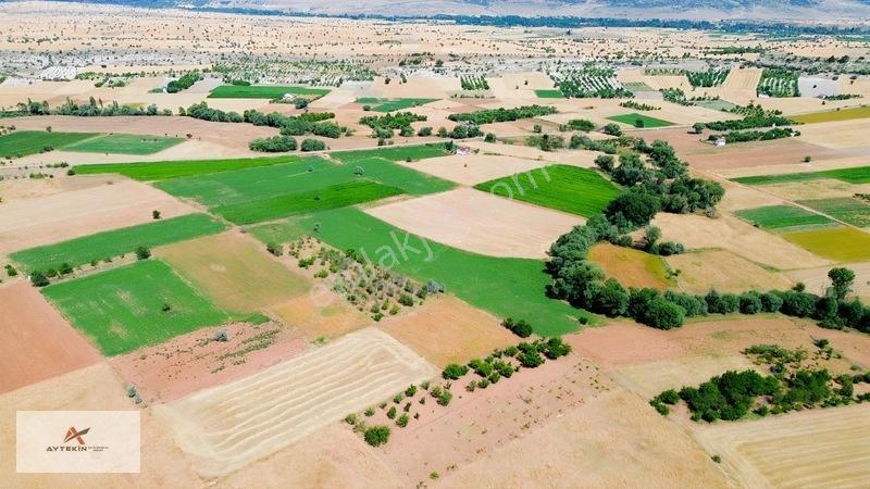 Beyşehir Yenidoğanyüksek Mahallesinde 3.405 M² Müstakil Tarla — fotoğraf 9