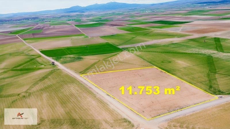 Meram Kavak Mahallesinde 11.753 M² Müstakil Tapulu Tarla — fotoğraf 4
