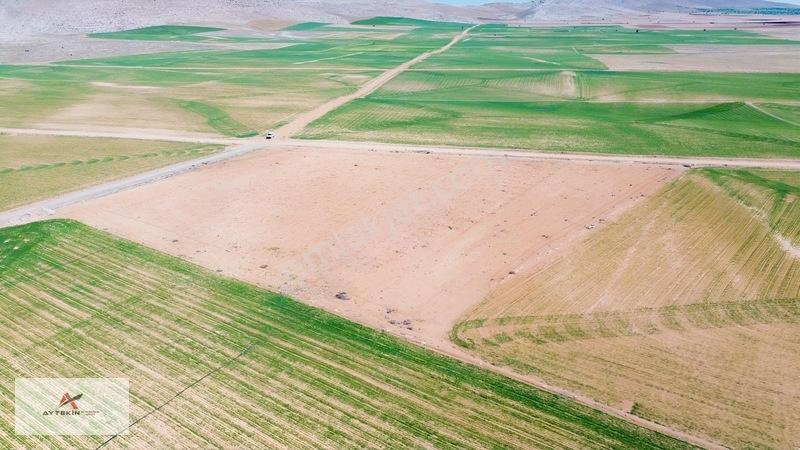 Meram Kavak Mahallesinde 11.753 M² Müstakil Tapulu Tarla — fotoğraf 5