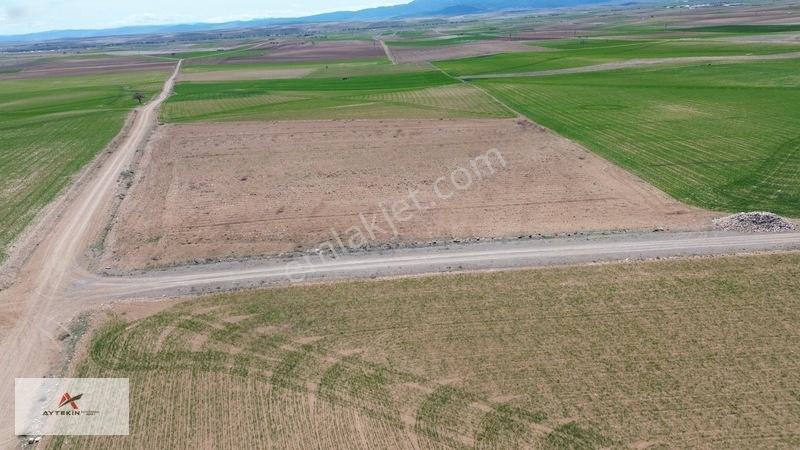 Meram Kavak Mahallesinde 11.753 M² Müstakil Tapulu Tarla — fotoğraf 6