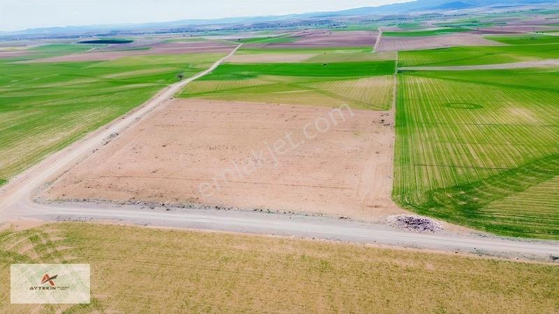 Meram Kavak Mahallesinde 11.753 M² Müstakil Tapulu Tarla — fotoğraf 8