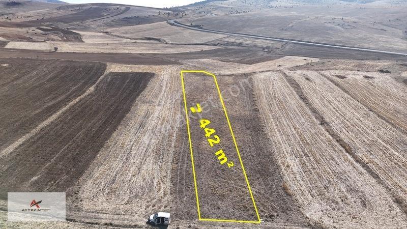Ilgın Gökçeyurtözlem Mahallesinde 2.442 M² Müstakil Tarla — fotoğraf 2