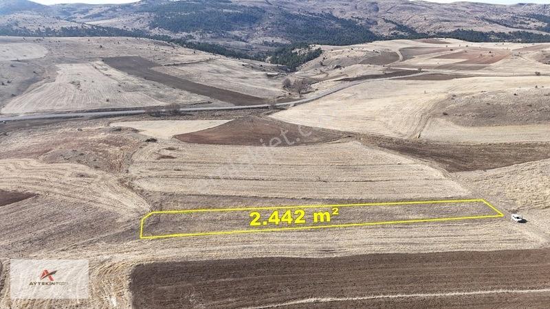 Ilgın Gökçeyurtözlem Mahallesinde 2.442 M² Müstakil Tarla — fotoğraf 3