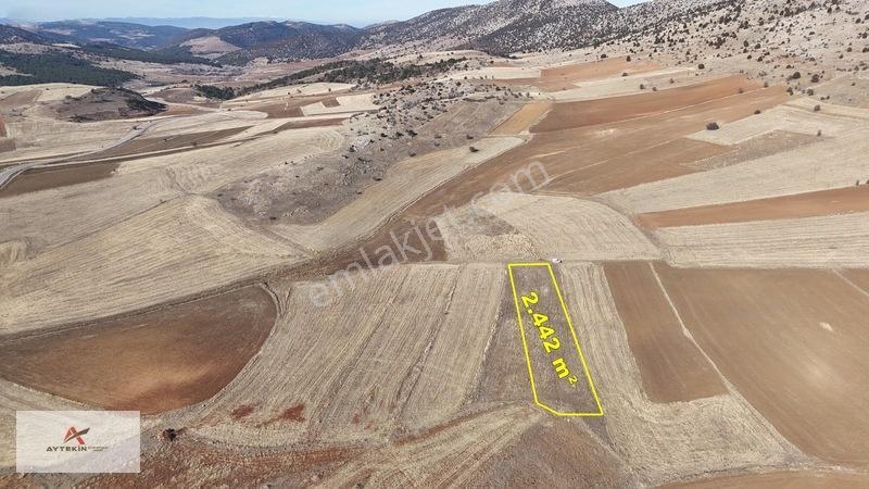 Ilgın Gökçeyurtözlem Mahallesinde 2.442 M² Müstakil Tarla — fotoğraf 4
