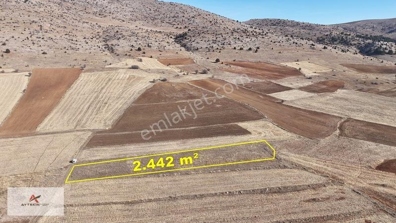 Ilgın Gökçeyurtözlem Mahallesinde 2.442 M² Müstakil Tarla — fotoğraf 5