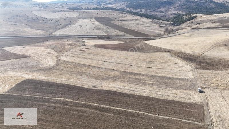 Ilgın Gökçeyurtözlem Mahallesinde 2.442 M² Müstakil Tarla — fotoğraf 8