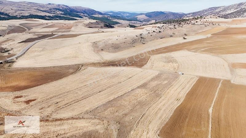 Ilgın Gökçeyurtözlem Mahallesinde 2.442 M² Müstakil Tarla — fotoğraf 9