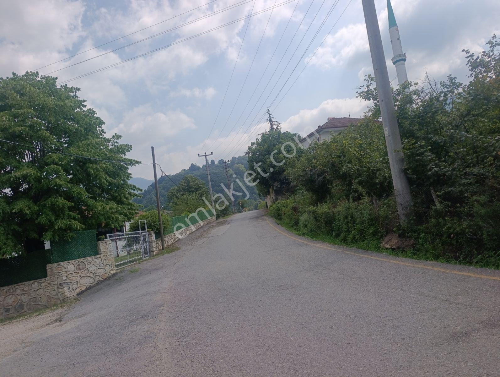 Akyazı Taşburun Da Ana Yola Çepheli Satılık Müstakil Ev — fotoğraf 19