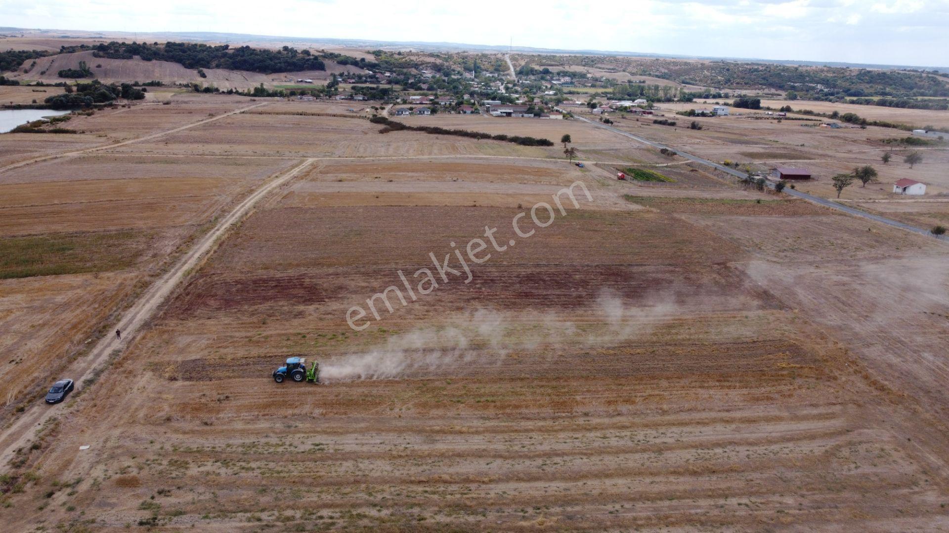 Remaxland'den Edirne Uzunköprü Küçükdanişment Satılık Tarla