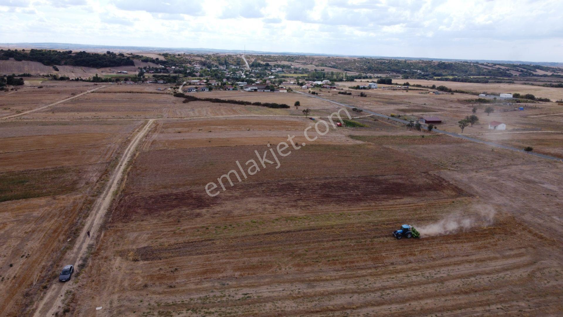 Remaxland'den Edirne Uzunköprü Küçükdanişment Satılık Tarla — fotoğraf 3