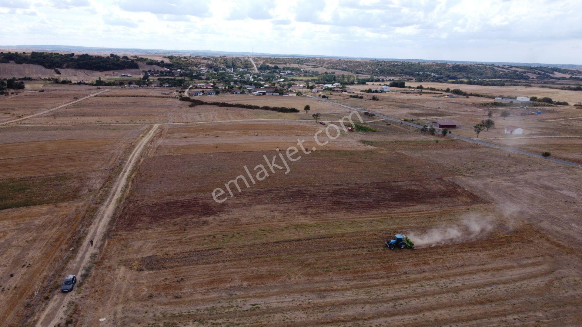 Remaxland'den Edirne Uzunköprü Küçükdanişment Satılık Tarla — fotoğraf 4
