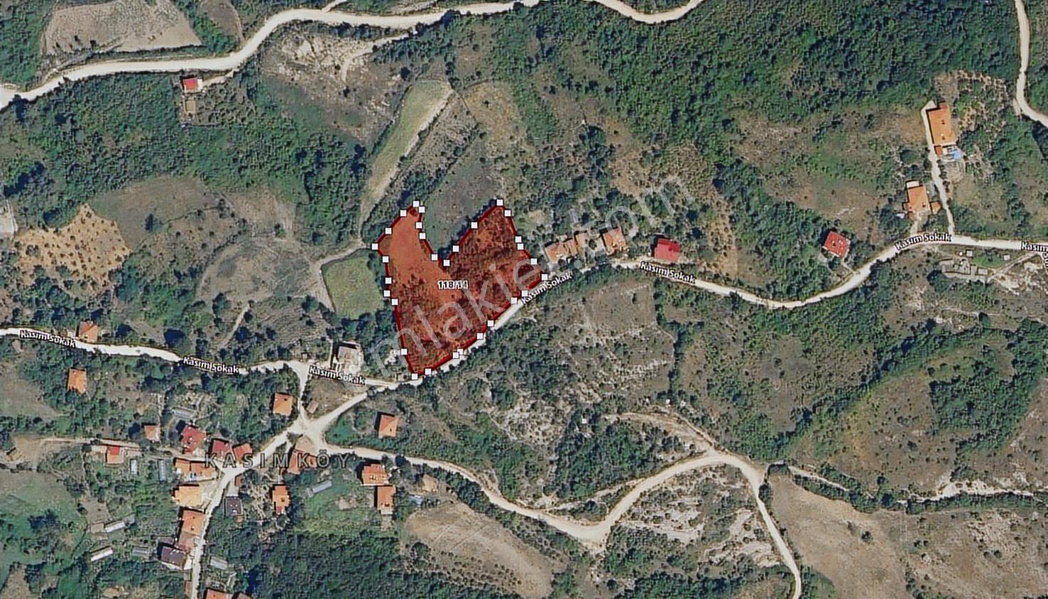Cide Demirtaş Emlaktan Satılık 6 Dönüm Arsa — fotoğraf 5