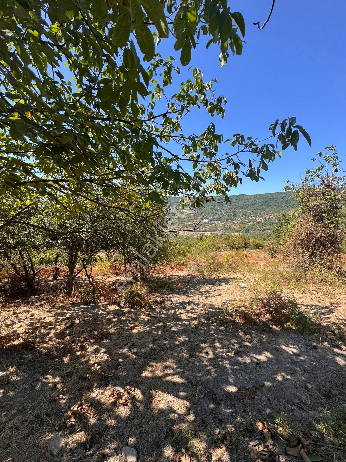 Cide Demirtaş Emlaktan Satılık 6 Dönüm Arsa — fotoğraf 15