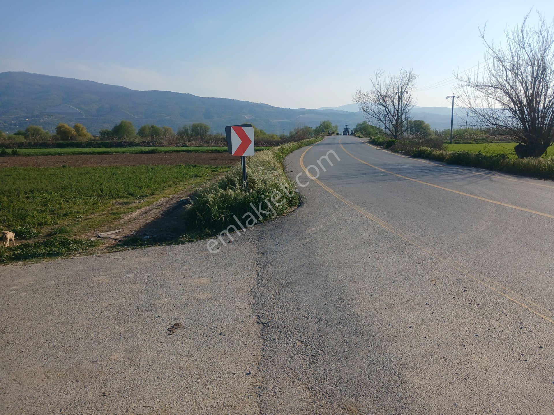 Era'dan Aydın Umurlu Armutlu Yolunda Satılık Tarla — fotoğraf 7