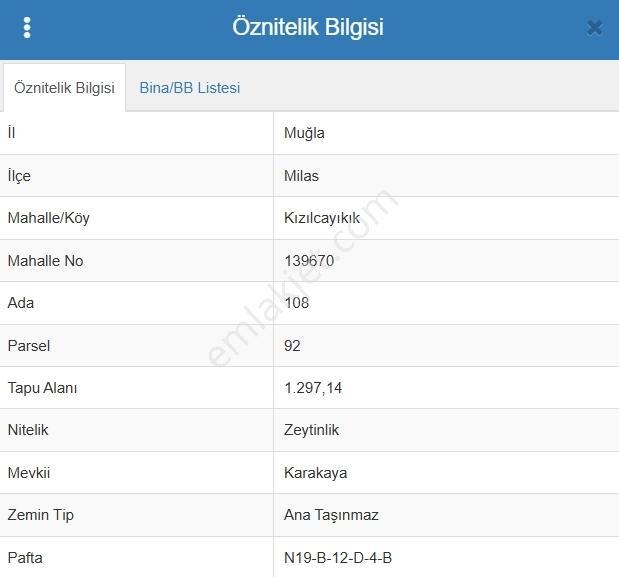 Muğla Milas Kızılcayıkık Satılık Zeytinlik — fotoğraf 3