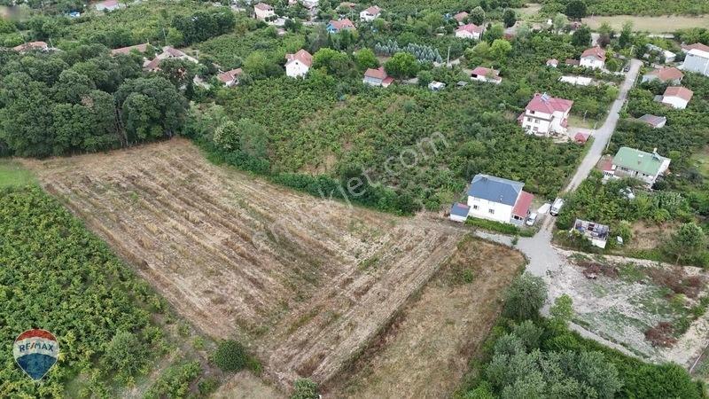 Remax Maviden Doğa Harikası Mesudiye De 6 Adet Villalık Arsa