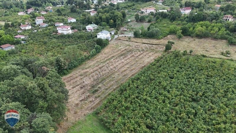 Remax Maviden Doğa Harikası Mesudiye De 6 Adet Villalık Arsa — fotoğraf 2
