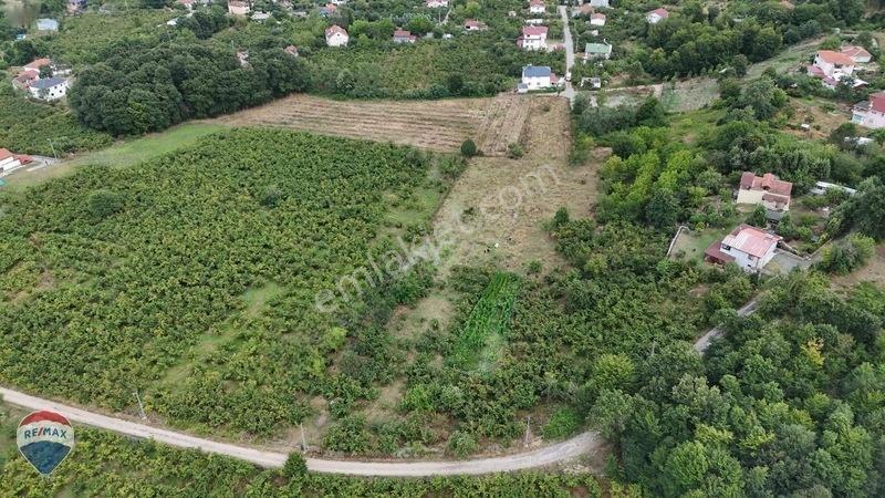 Remax Maviden Doğa Harikası Mesudiye De 6 Adet Villalık Arsa — fotoğraf 3