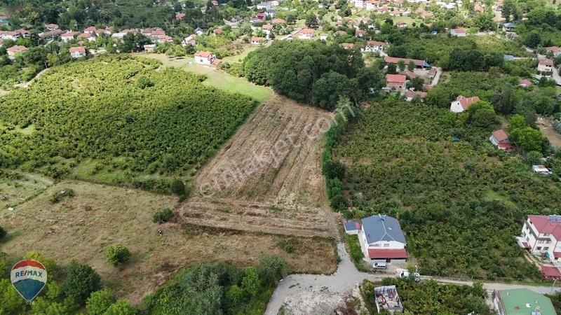 Remax Maviden Doğa Harikası Mesudiye De 6 Adet Villalık Arsa — fotoğraf 4