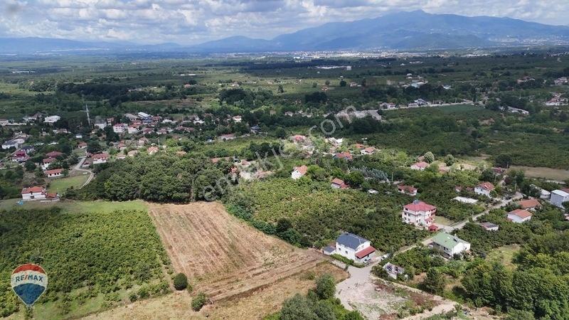 Remax Maviden Doğa Harikası Mesudiye De 6 Adet Villalık Arsa — fotoğraf 6