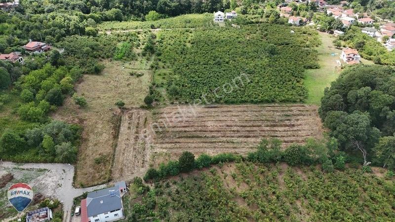 Remax Maviden Doğa Harikası Mesudiye De 6 Adet Villalık Arsa — fotoğraf 7