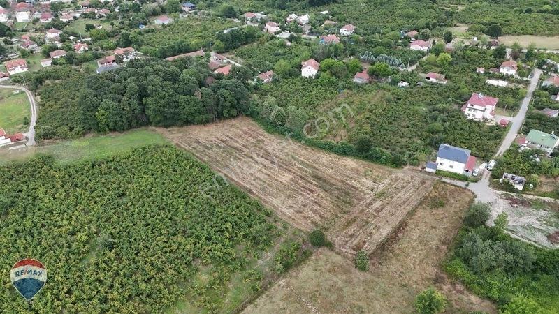 Remax Maviden Doğa Harikası Mesudiye De 6 Adet Villalık Arsa — fotoğraf 8