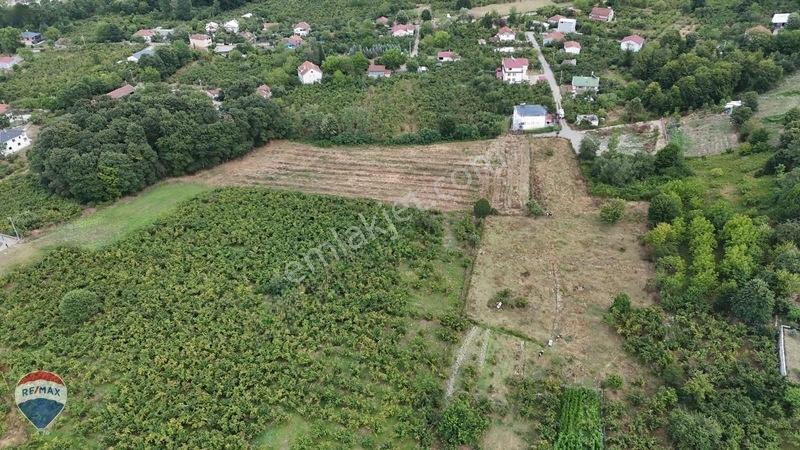 Remax Maviden Doğa Harikası Mesudiye De 6 Adet Villalık Arsa — fotoğraf 9