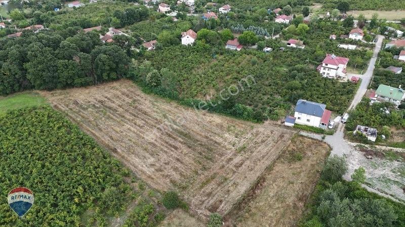 Remax Maviden Doğa Harikası Mesudiye De 6 Adet Villalık Arsa — fotoğraf 10